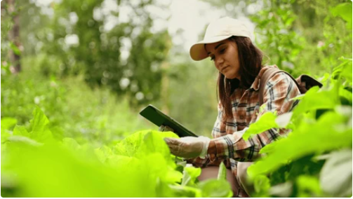 Naturalist working