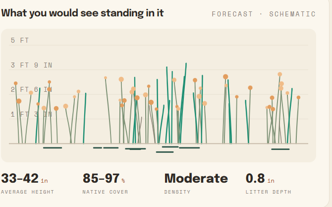 Prairie Visualizer Tool